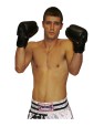 Mickael LE LUHERNE