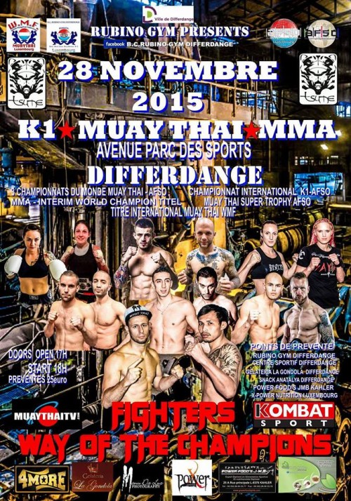 Fighters - Way of the Champions