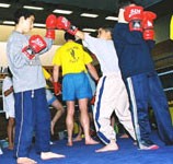Muaythaï sport rentrée Mieux connaitre Muaythaï
