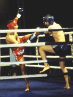 Gala International 09/02/2002 à Aubagne