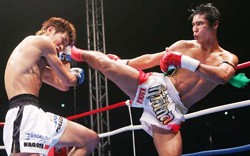 stars brillent au K-1 World Max