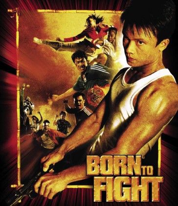 BORN TO FIGHT Actu DVD