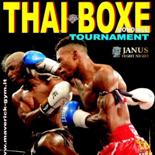 Janus Fight Night 2007 Samedi 24 novembre