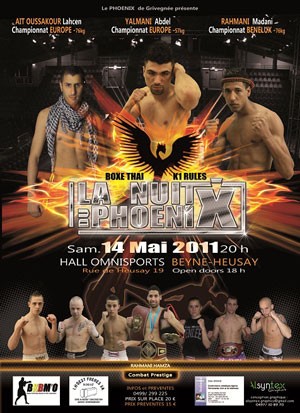 Nuit Phoenix XIII