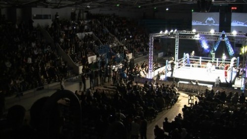 Fightzone Résultats
