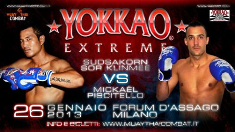 Mickael PISCITELLO et Houcine BENNOUI au Yokkao 2013