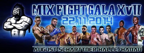 Abdoul TOURE vs Enriko KEHL au MIX FIGHT GALA