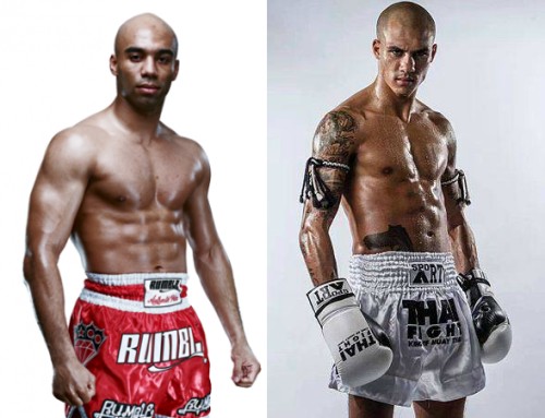 combats que l on veut voir 2016 Samy SANA vs Karim GHAJJI