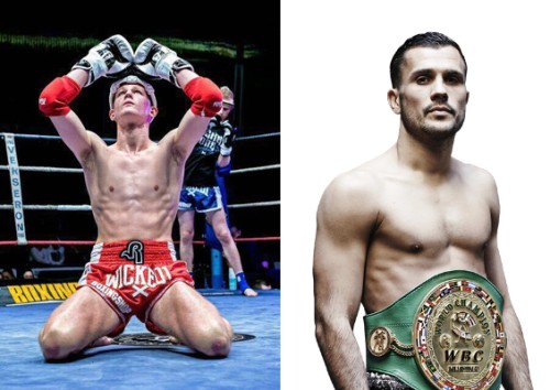 MUAYTHAITV AWARD Qui est votre boxeur l année