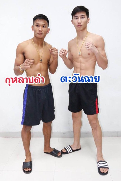 Vidéo KULABDAM battu au Lumpini