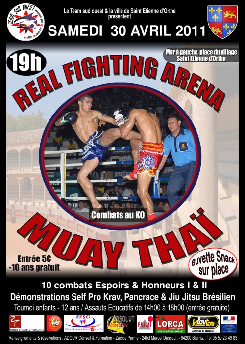 Real Fighting Arena