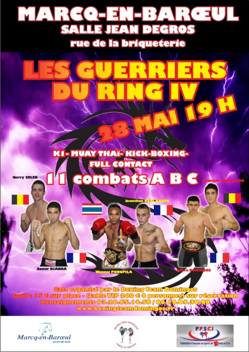 Les guerriers du ring IV