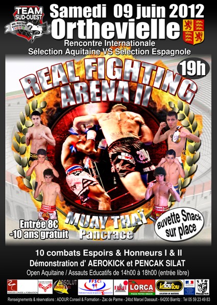 Real Fighting Arena II