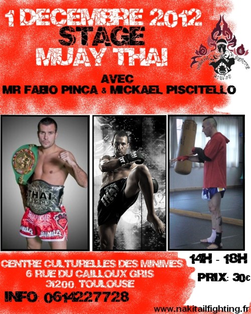 Stage de muaythai avec Fabio Pinca et Mickael Piscitello