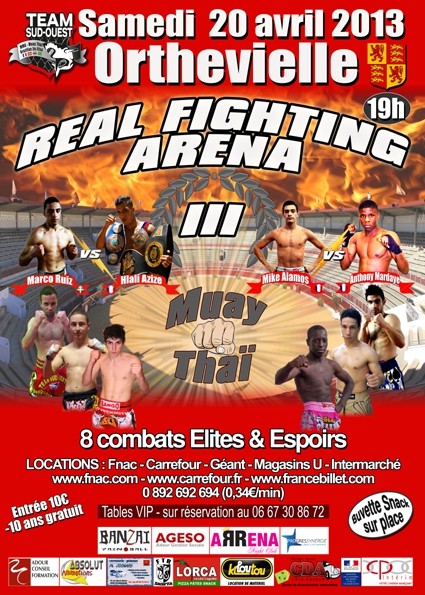 Real Fighting Arena III