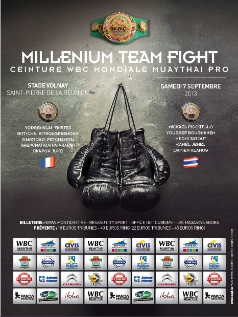 Millenium Team Fight