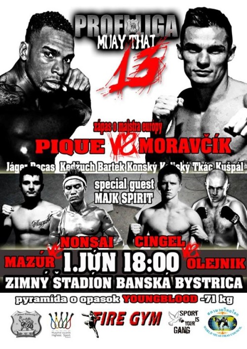 Profiliga Muaythai 13