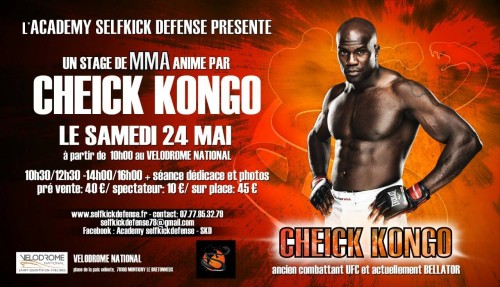 Stage de MMA avec Cheick KONGO