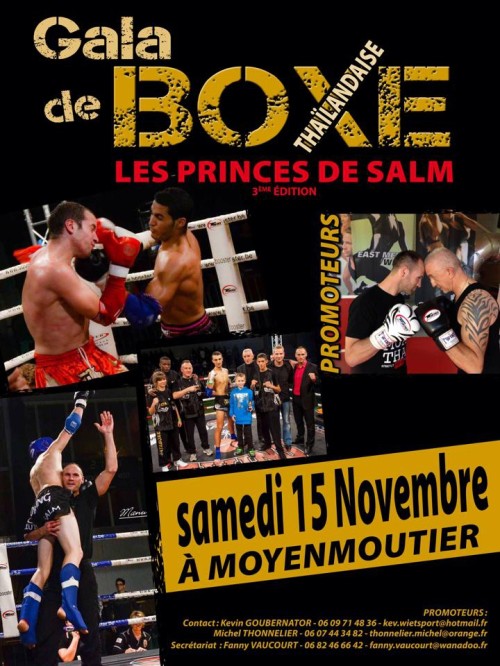 Les Princes de Salm 3
