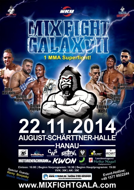 Mix Fight Gala XVII