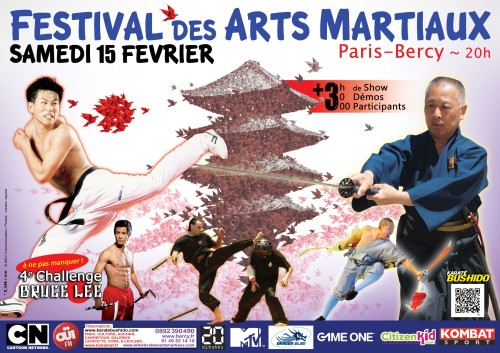 29e Festival des Arts Martiaux