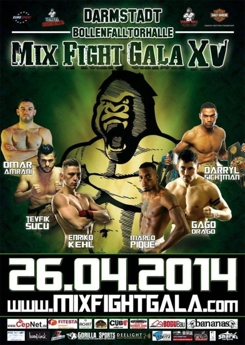 Mix Fight Gala XV
