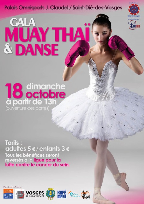 Gala Muay Thai & Danse