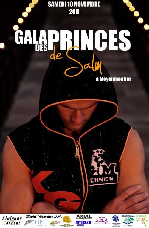 Les Princes de Salm 2