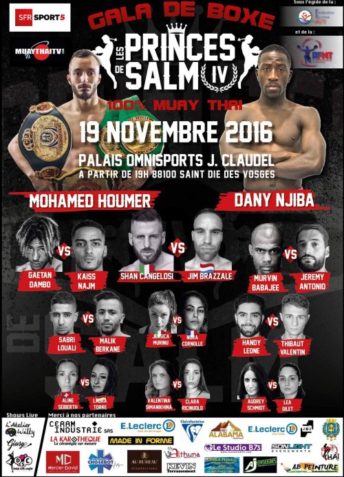 Les Princes de Salm IV
