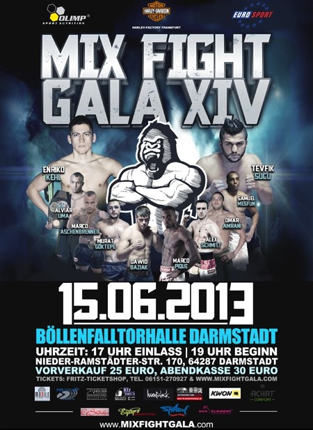 Mix Fight Gala XIV