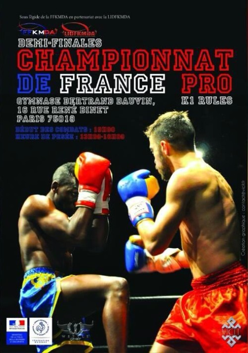 Championnat de France Pro K1