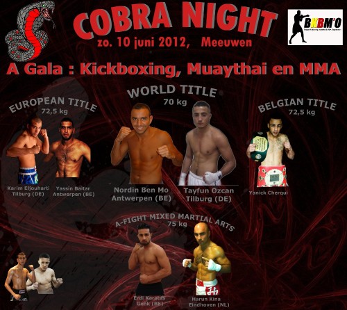 Cobra Night