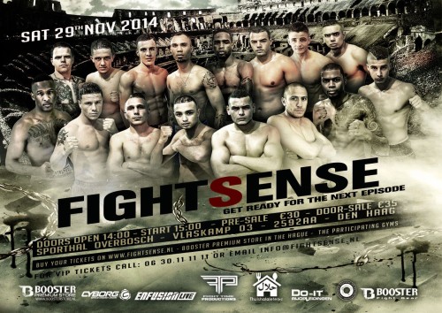 Fightsense VI