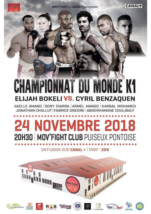Championnat Du Monde K1