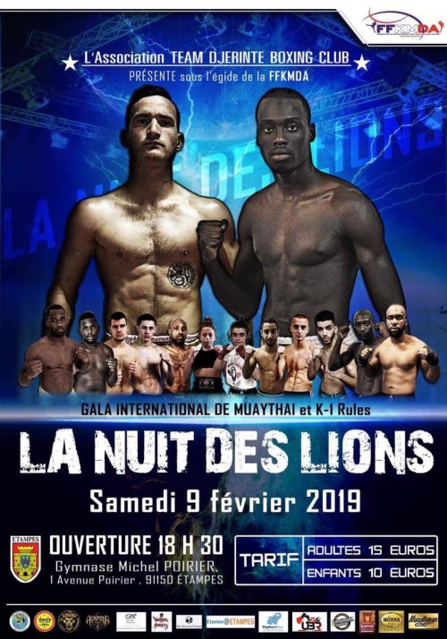 La Nuit Des Lions
