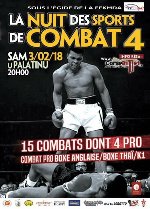 La Nuit Des Sports De Combat 4