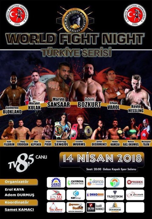World Fight Night