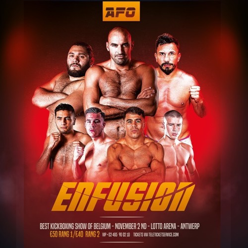 Enfusion