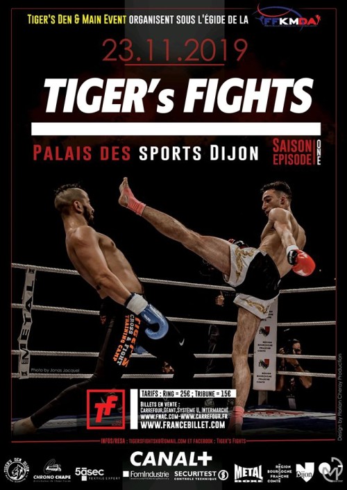 Tiger's Fights
