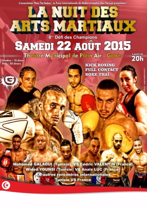 La Nuit Des Arts Martiaux
