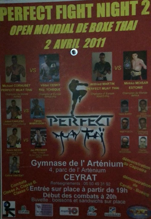 Perfect Fight Night 2