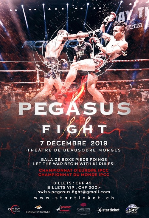 Pegasus Fight