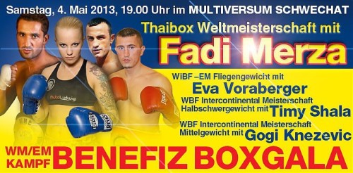 Benefiz Boxgala