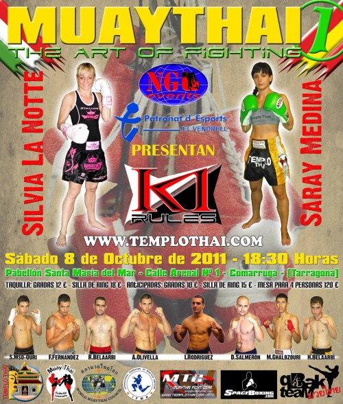 Muaythai The Art Of Fighting