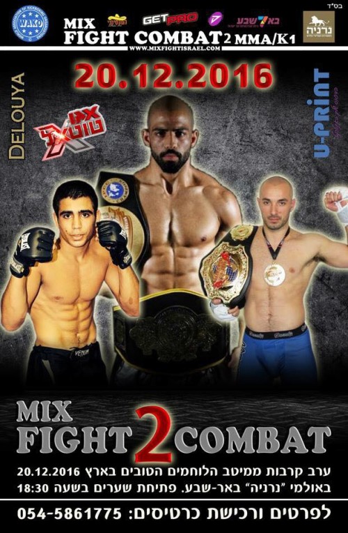 Mix Fight Combat 2