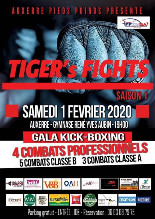 Tiger's Fights