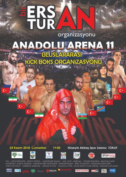 Anadolu Arena 11