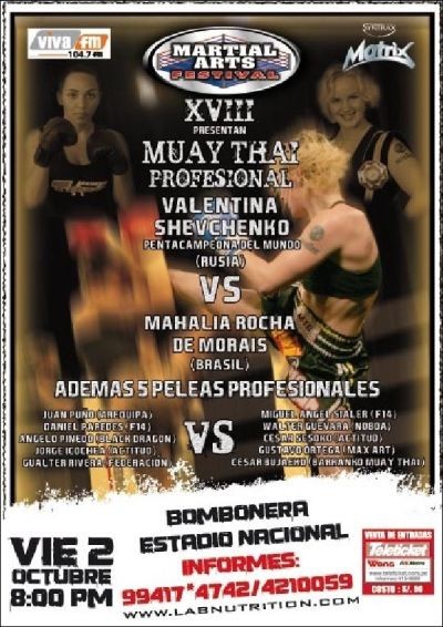 Muay Thai Professional