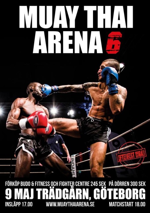 Muay Thai Arena 6