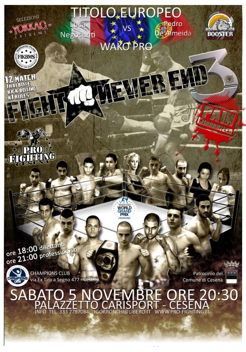 Fight Never End 3